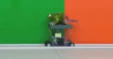 רואה לך בעיניים: מבחן הצבעים שיחשוף את כל האמת עליכם