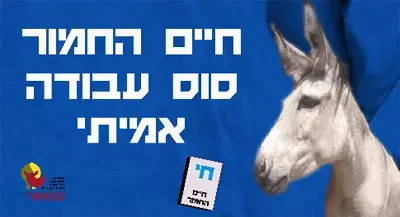 6 חיות מתמודדות על ראשות ממשלת הספארי