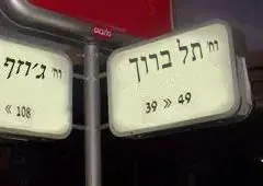 קלפי 43, צפון ת&rdquo;א