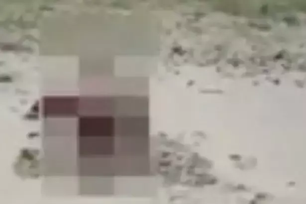 שיא של תשוקה: דייגים נדהמו לגלות שלישייה בשיא האקט על צוק בגובה 90 מטרים