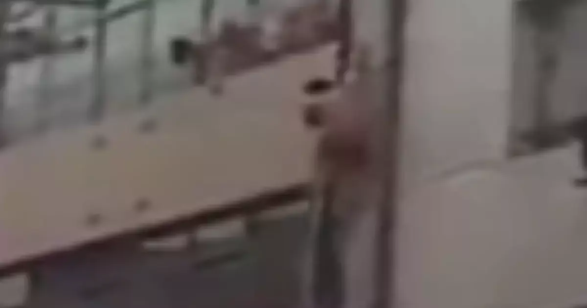 מאהב עירום נאלץ לברוח דרך החלון וזה לא נגמר טוב