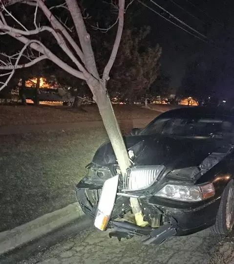 זו ככל הנראה הנהגת השיכורה הכי מצחיקה שראינו לאחרונה