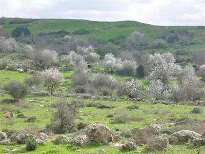 גבעות בית שמש נעלמות - חלק ב&rsquo;