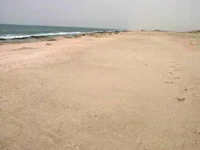 בשבת: הפקחים ישמרו על ניקיון החופים