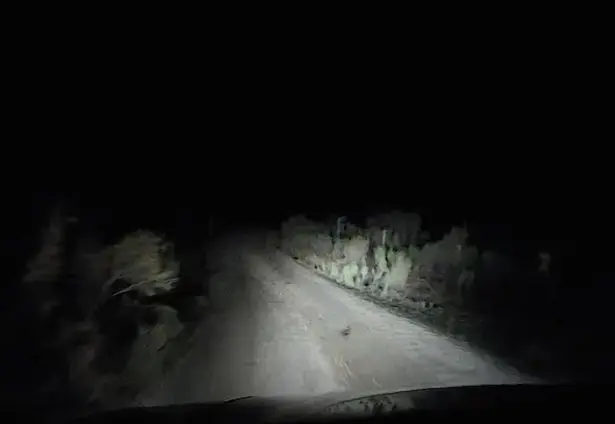 צפו: מה קפץ על הנהג שנסע בדרך עפר בלילה חשוך לחלוטין?