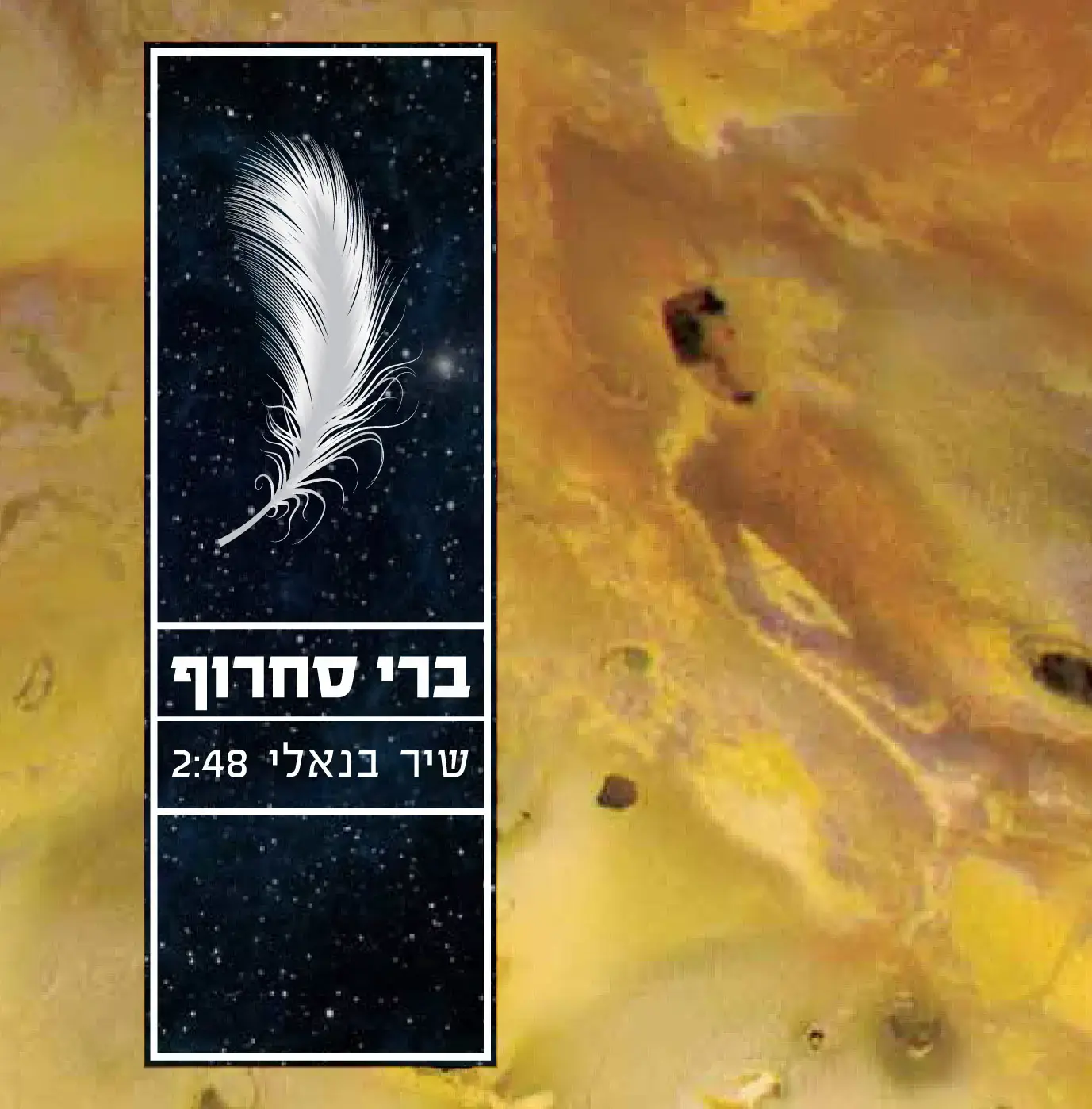 סחי בחרוף: כך ברי סחרוף הפך להתגלמות המיינסטרים הצפוי בישראל