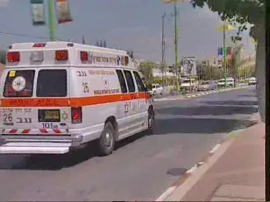 מותה של האשה מבית שמש לא נגרם מפלילים