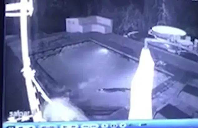 קשה לצפייה: קרוקודיל ענק נכנס לבריכה - והגבר נטש שם את חברתו