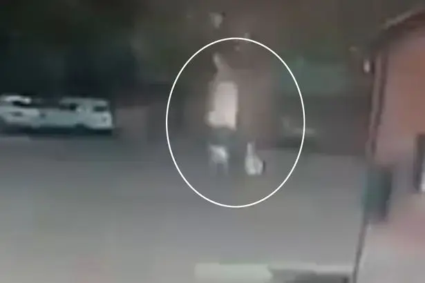בלי טיפת מזל: אישה עם מטריה נפגעה מברק במהלך סופה