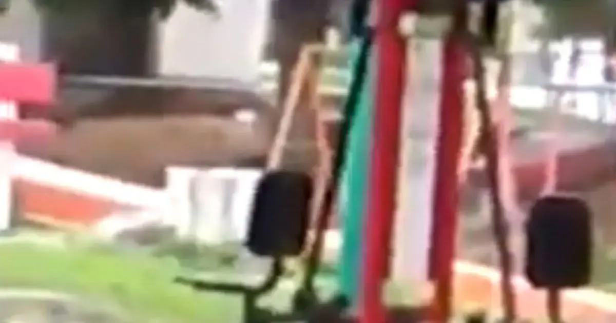 זו רוח רפאים אתלטית באמצע אימון או שאנחנו הוזים?