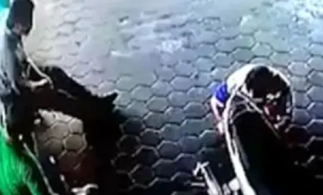 זה מטורף: אב הציל את שני ילדיו ממוות בטוח בהבדל של שבריר שניה