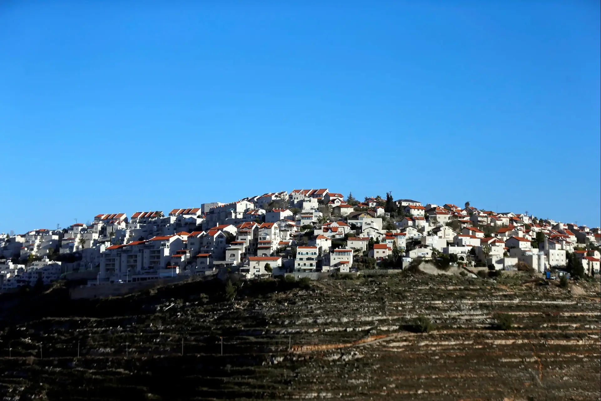 אמנסטי למדינות העולם: "הימנעו ממסחר עם ההתנחלויות"