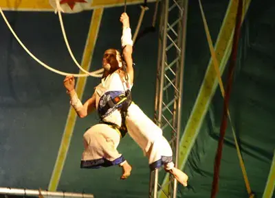 קרקס אחד גדול במוזיאון א&rdquo;י