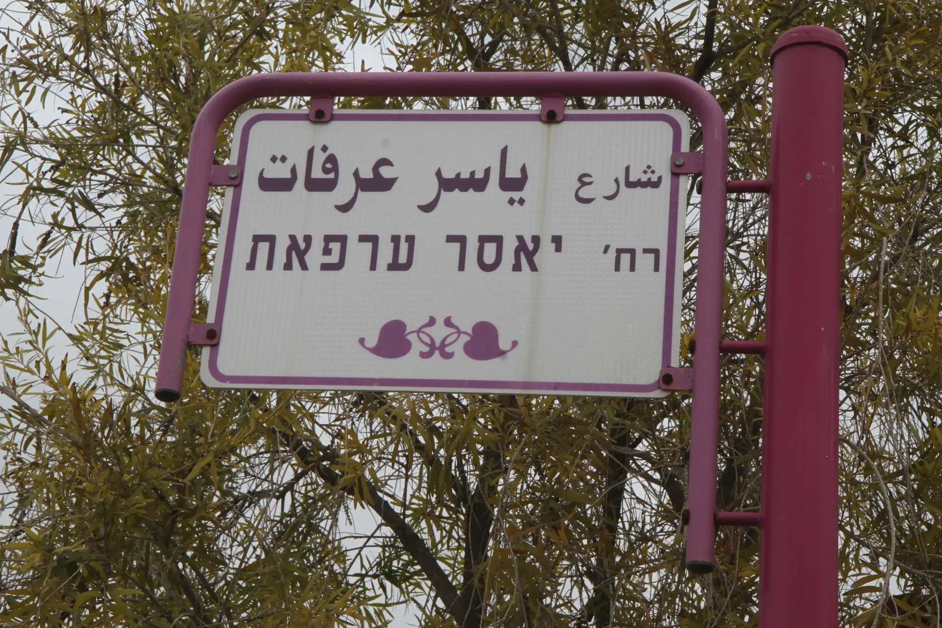 שר הפנים הורה לראש המועצה: שנה את שם רחוב "ערפאת" בתוך יומיים