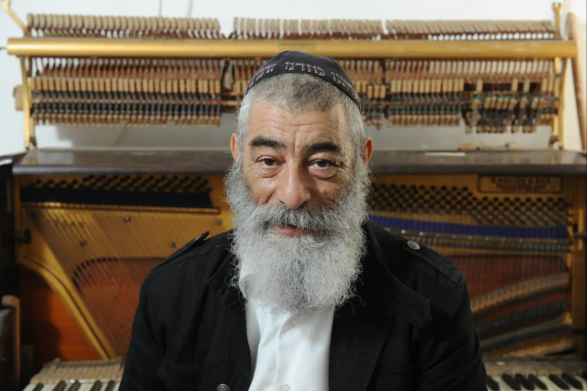 אריאל זילבר ולהקת ברוש, נגה ארז ועדן חסון: מה צפוי בפסטיבל התמר?