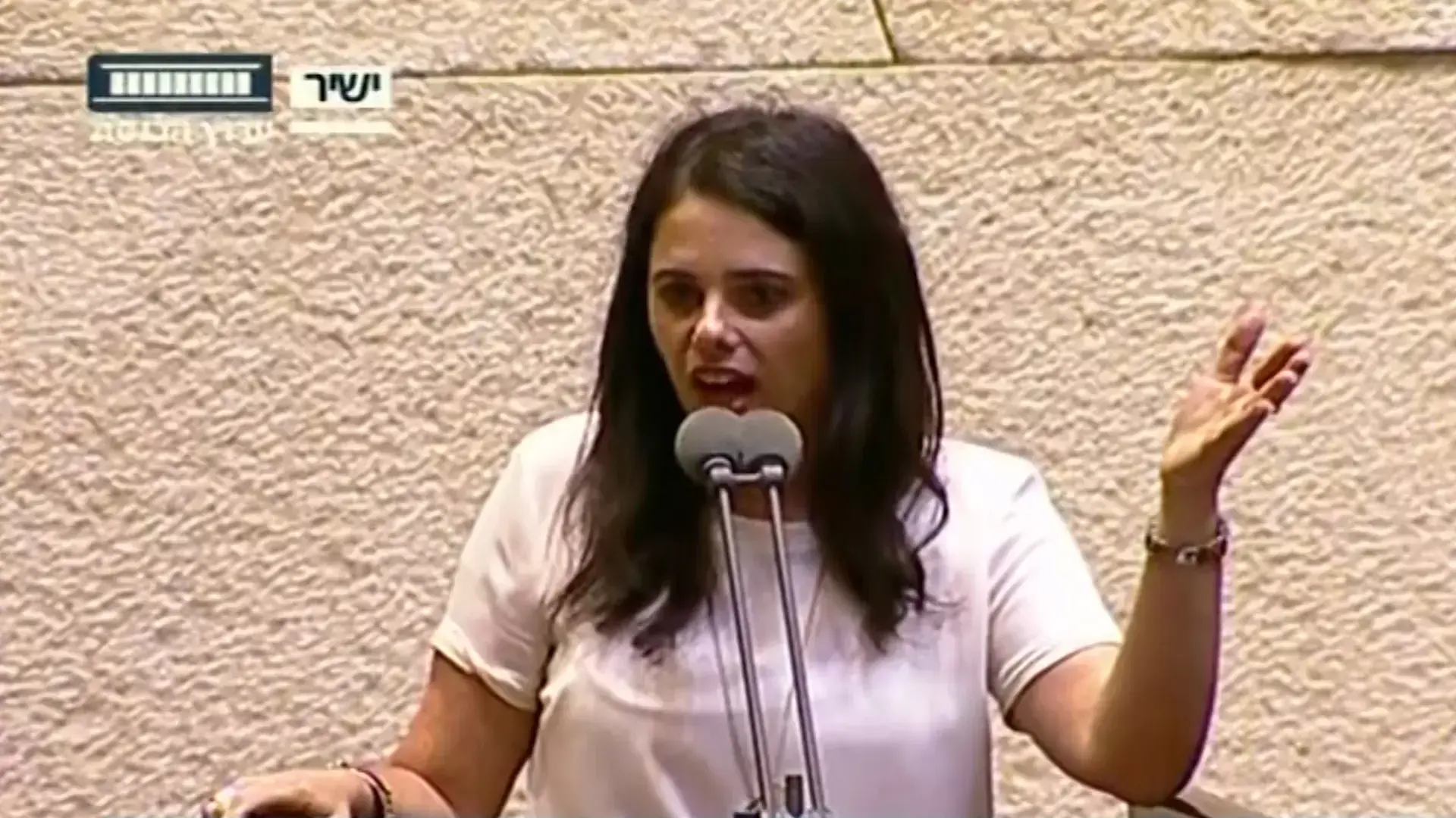 עימות חריף במליאה: ח"כ רוזנטל "מסית"; שקד "מעודדת שחיתות"