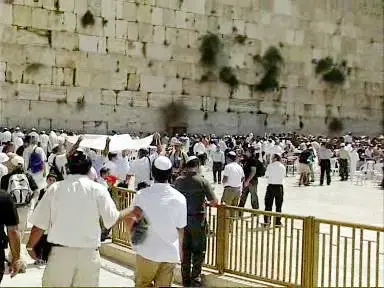 מנקים את הכותל