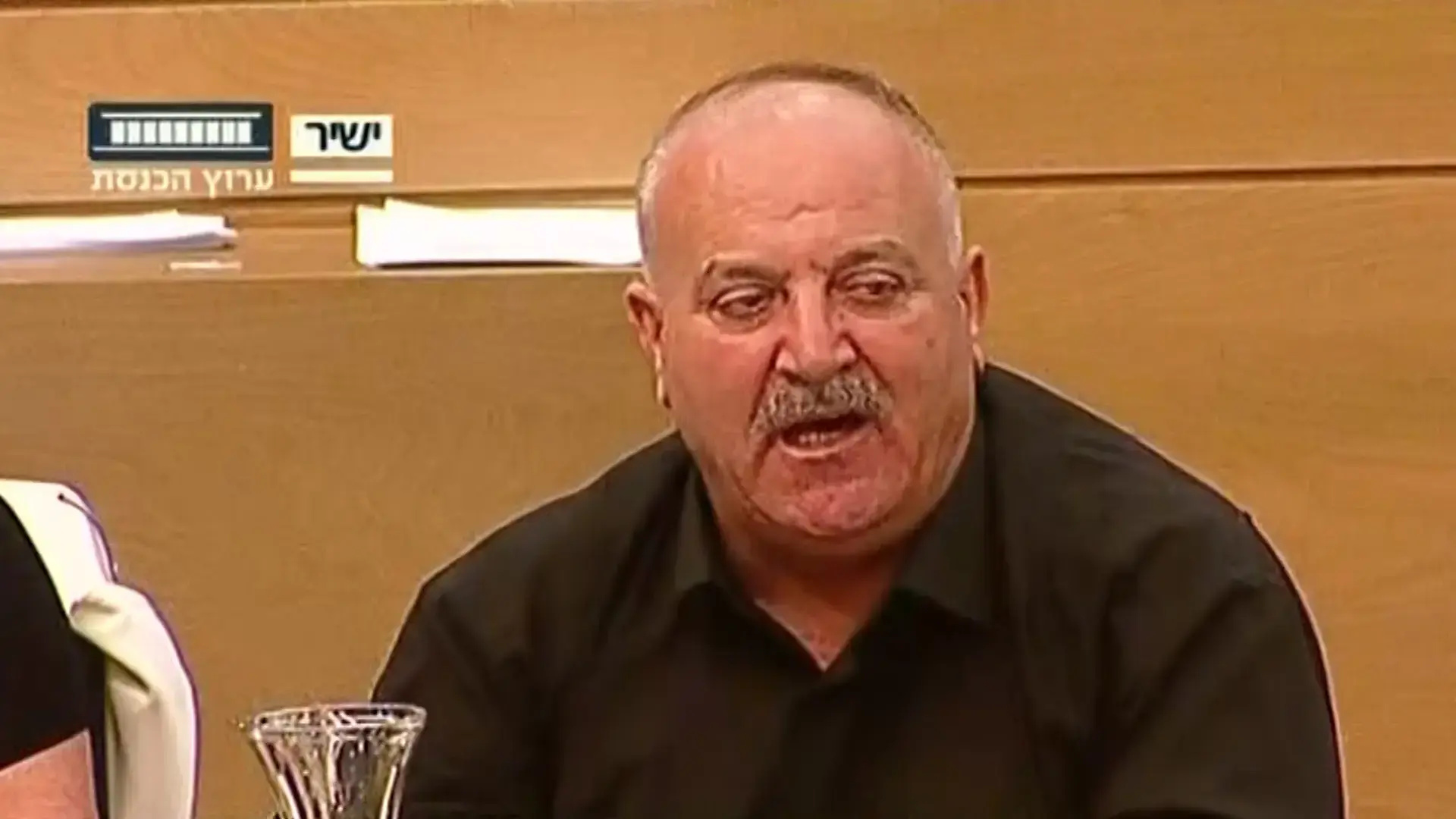 הליכוד נגד כולנו: חוק הלאום יעדיף את המדינה היהודית על הדמוקרטית?