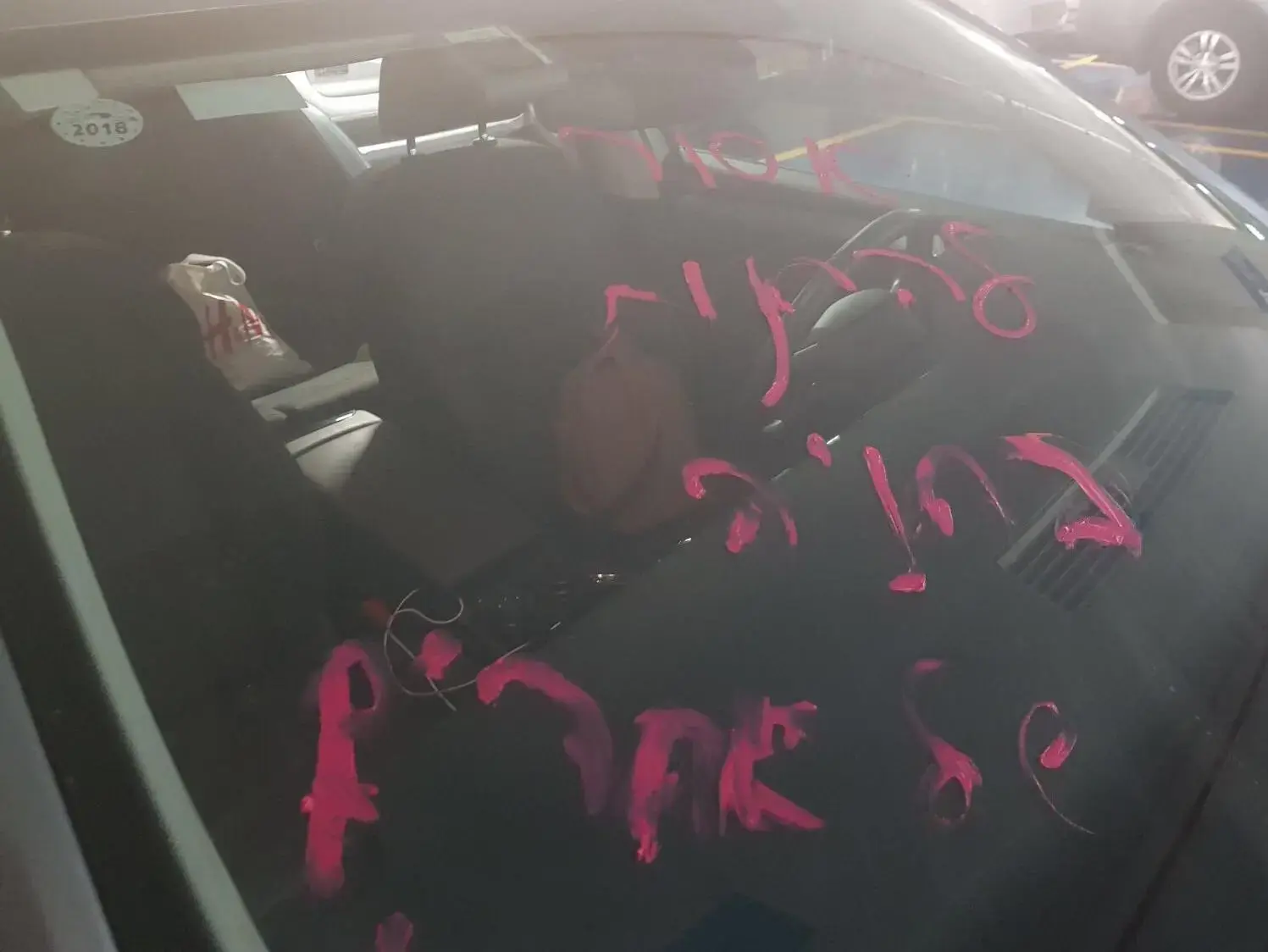 גורמים בכנסת: "לא יינקטו צעדים נגד ח"כ סבטלובה על השחתת הרכב"
