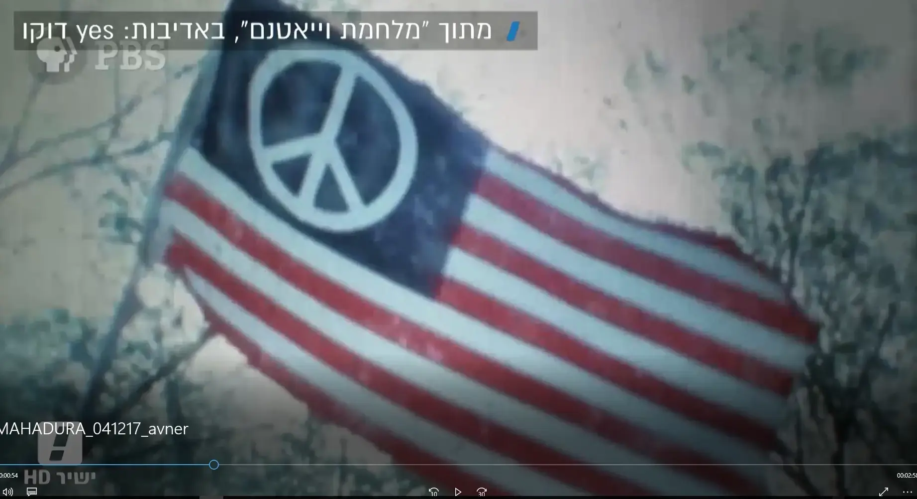"מלחמת וייטנאם" היא היצירה האולטימטיבית על המלחמה שצילקה את אמריקה