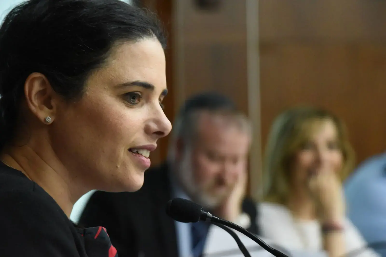 לבקשת שקד: 12 דיונים בשבעה חודשים - על הצעה שלא צפויה לעבור