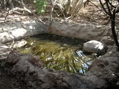 במבוא בית&rdquo;ר לא שומרים על הנקבות העתיקות