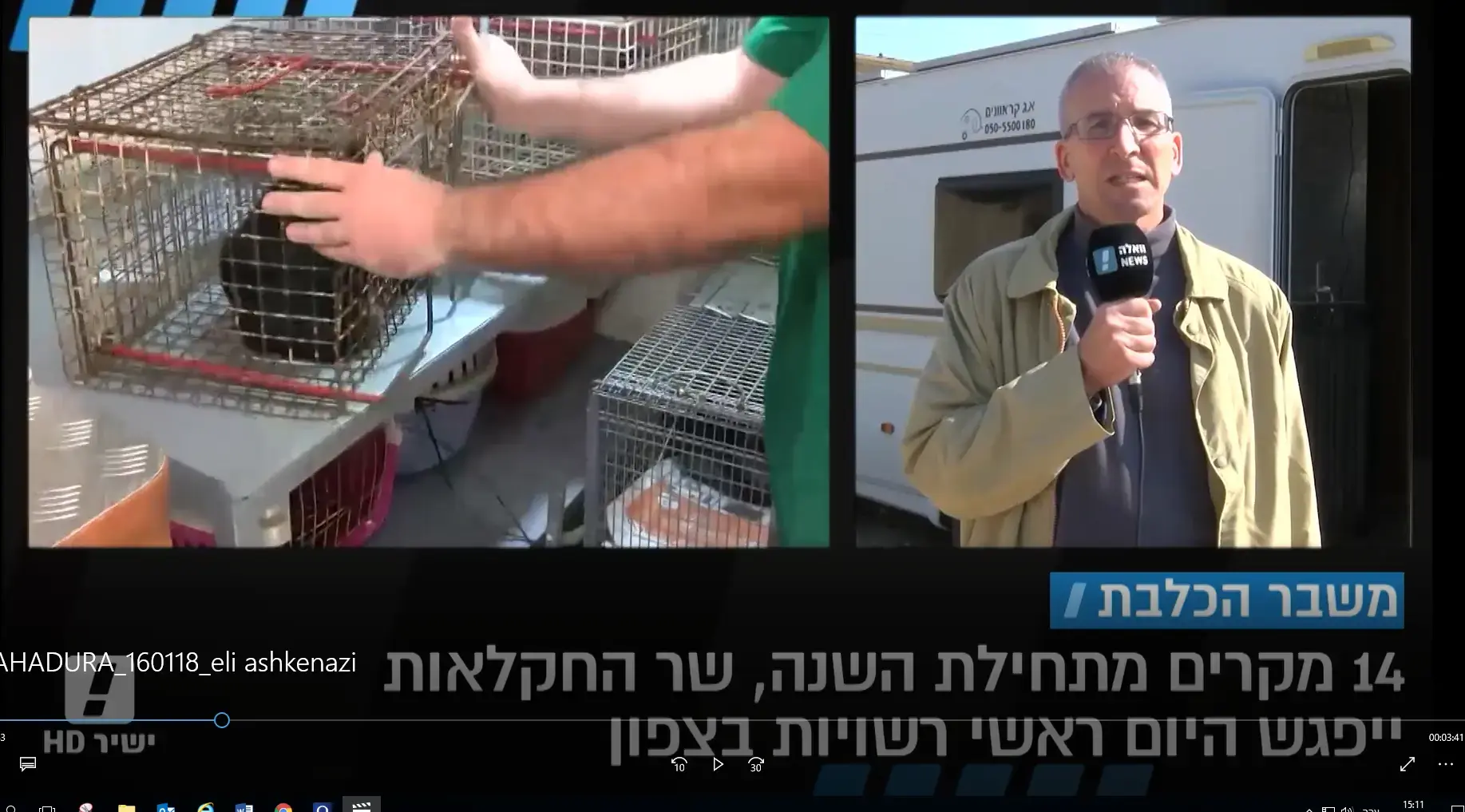 כלב נגוע בכלבת נשך 20 כלבים בצפון, הרג שניים - ונלכד