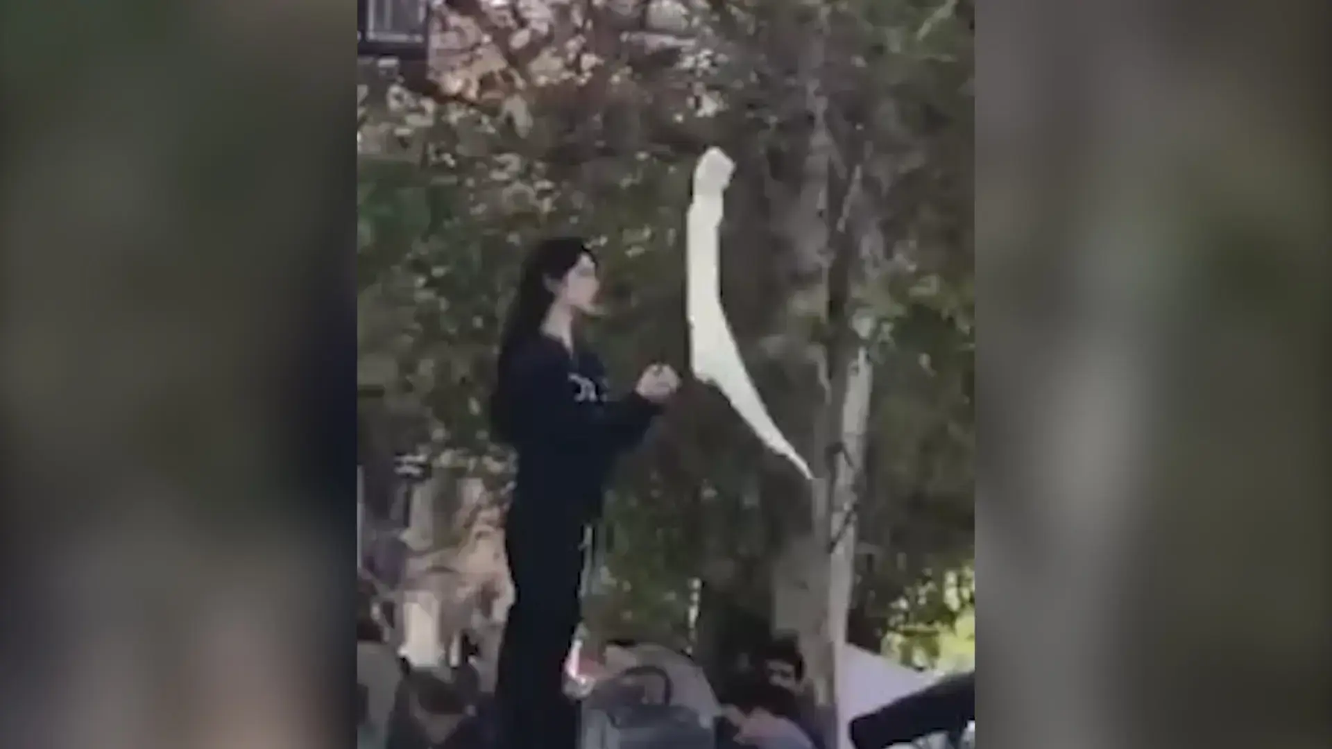 "זה למען הבת שלי": האישה שהעזה להסיר את הרעלה בלב טהראן