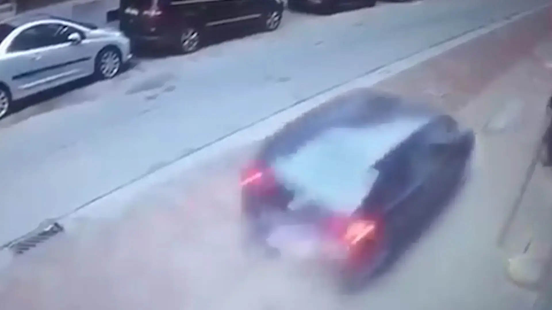 גזענות או הגנה על בע"ח? בלגיה אוסרת על שחיטה כשרה‎