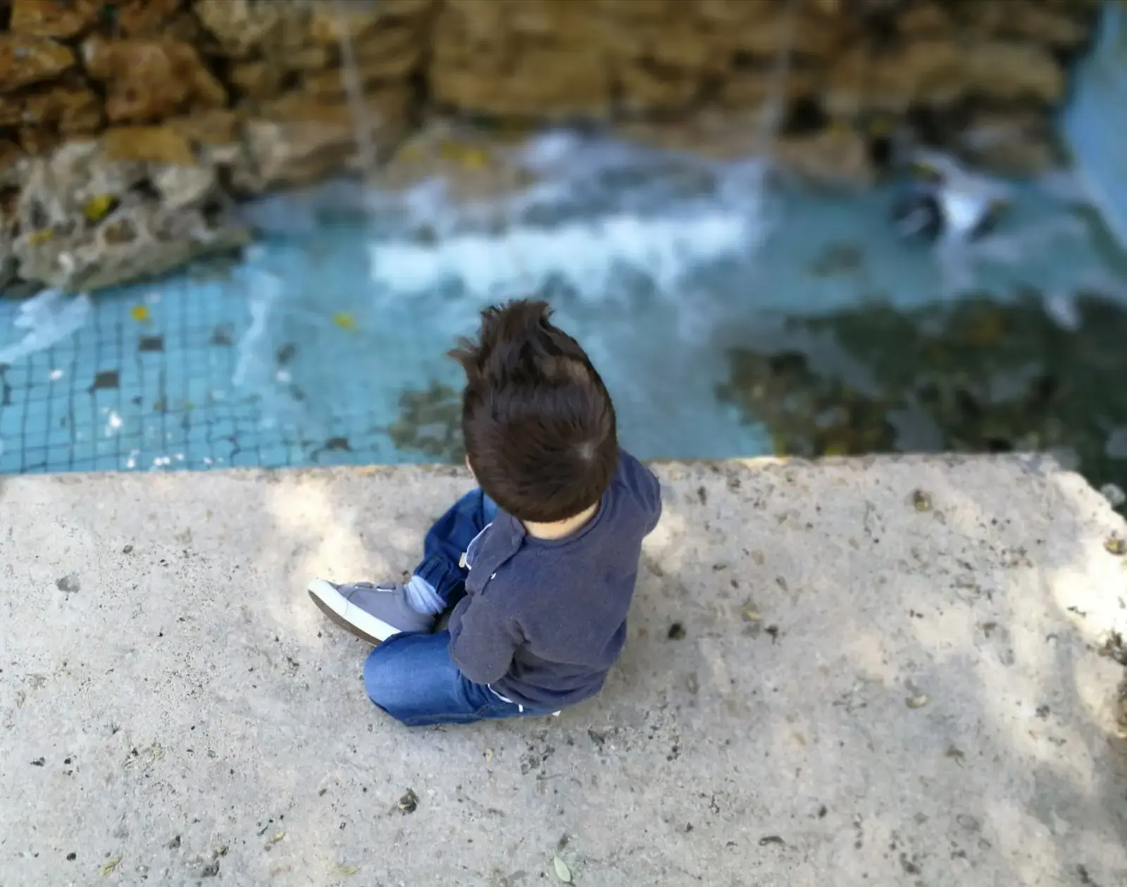 לחזור הביתה בשלום: כמה קשה יכול להיות בילוי גינה עם בן 3?