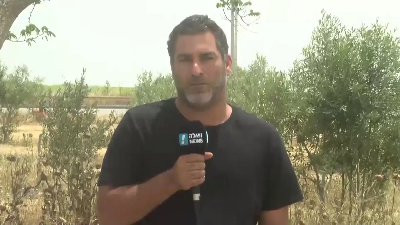 למרות צעקות ארדואן והגינויים הקבועים - לא כל העולם שונא אותנו