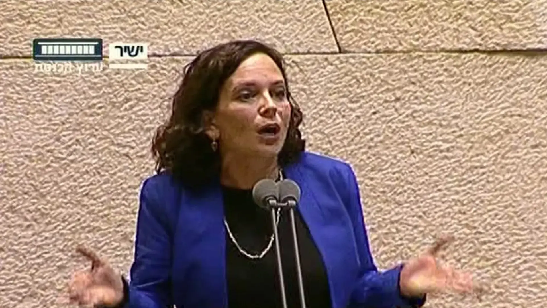 "מחו נגדי בבריוניות": ח"כ גליק מסביר את סיבת הזמנת סרבן הגט לכנסת