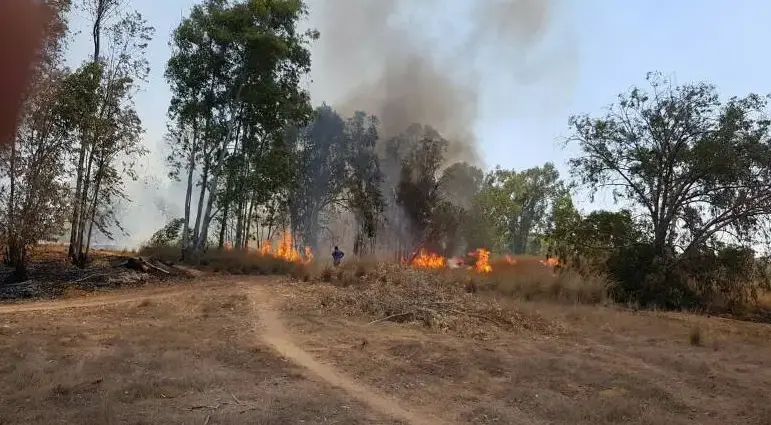 קפריסין: בוחנים את ההצעה של ישראל להקמת נמל לעזה