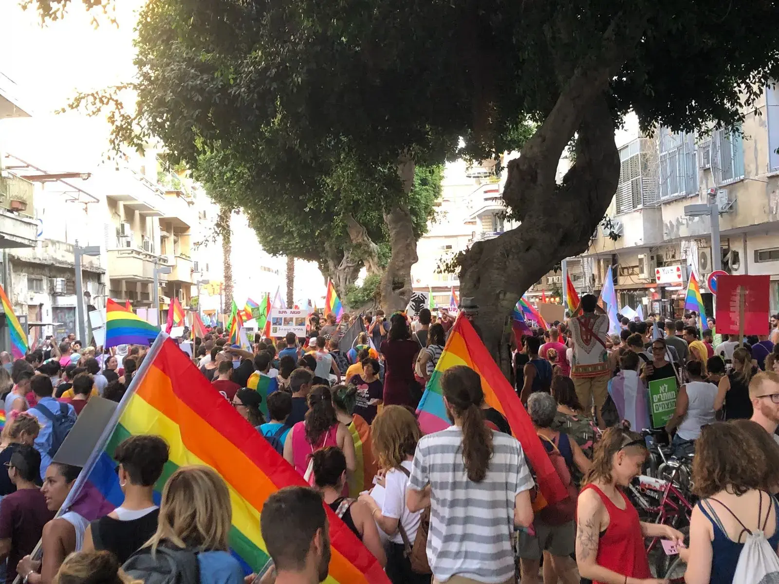 יקוצר זמן ההמתנה לשינוי מין לטרנסג'נדרים: "צעד הכרחי במאבק לזכויות"