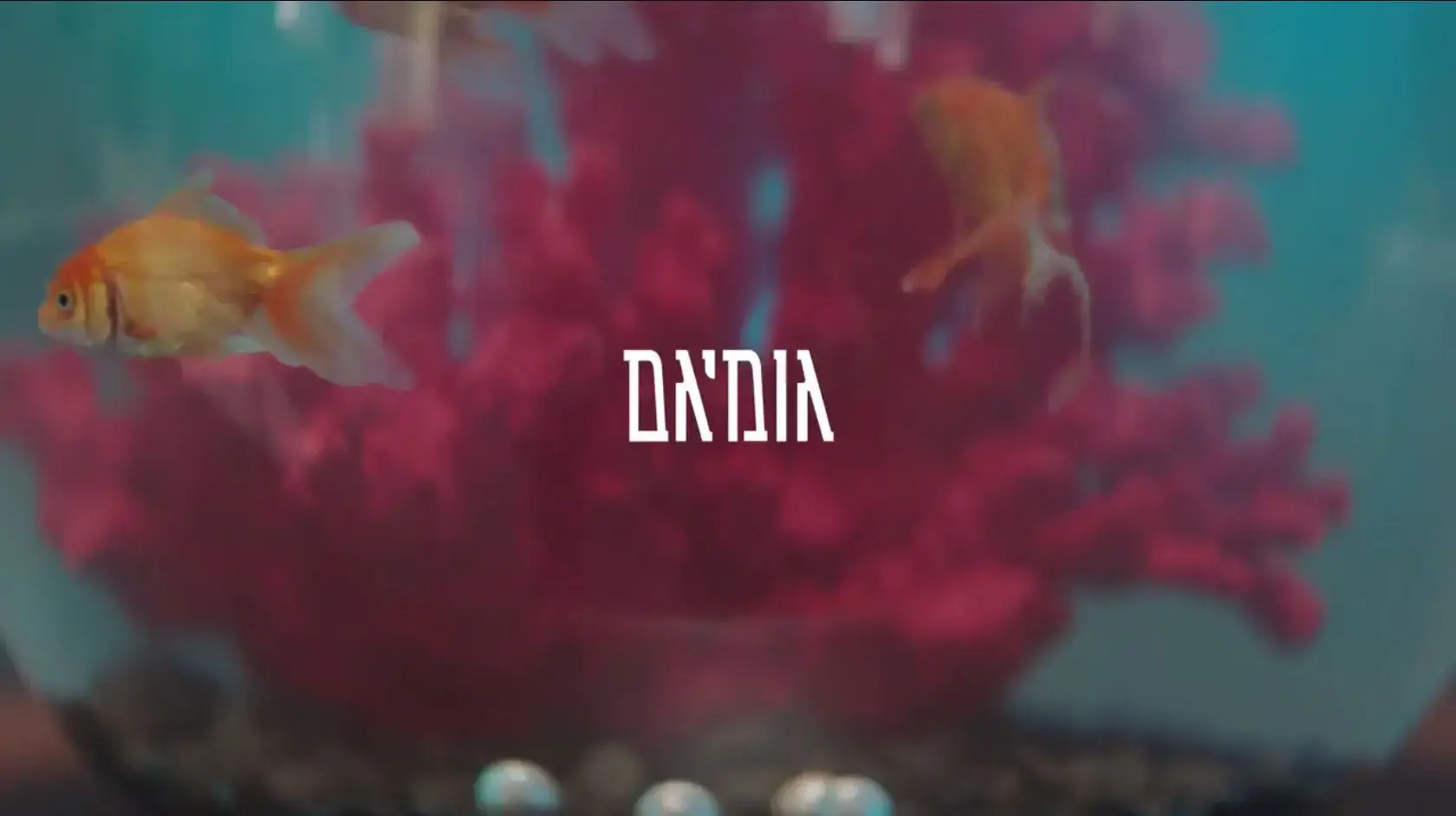 האזינו לטעימה מתוך השיר החדש של סטטיק ובן אל, "גומיגם"