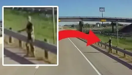 ראיתם פעם חייזר תופס טרמפ? כי אנחנו חושבים שראינו