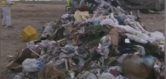 1.19 קילו פסולת מופרדת למשפחה: אלו ערי המחזור המצטיינות בישראל