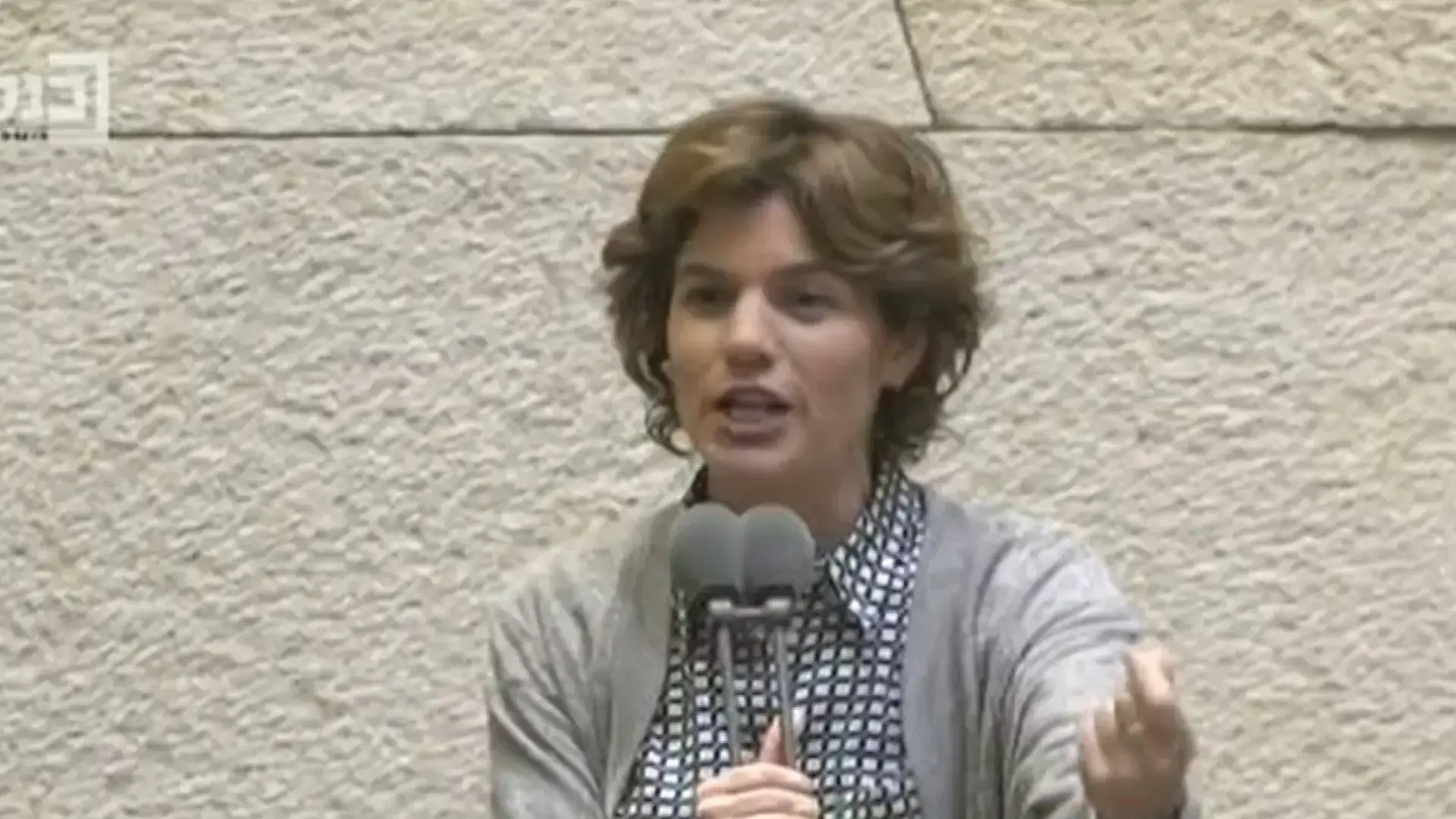 ברקע קשיים משפטיים: נדחו דיוני הוועדה לקידום "חוק גדעון סער"