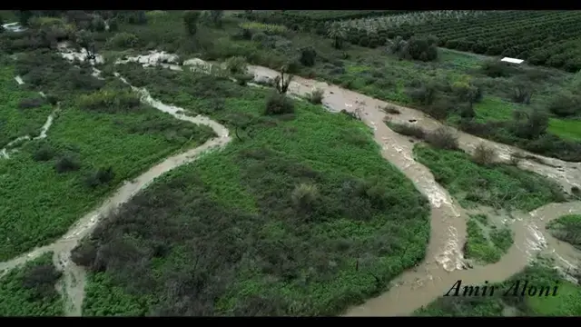 הזרימה שאחרי הגשם: תיעוד הרחפן מעל הנחלים השוצפים בצפון