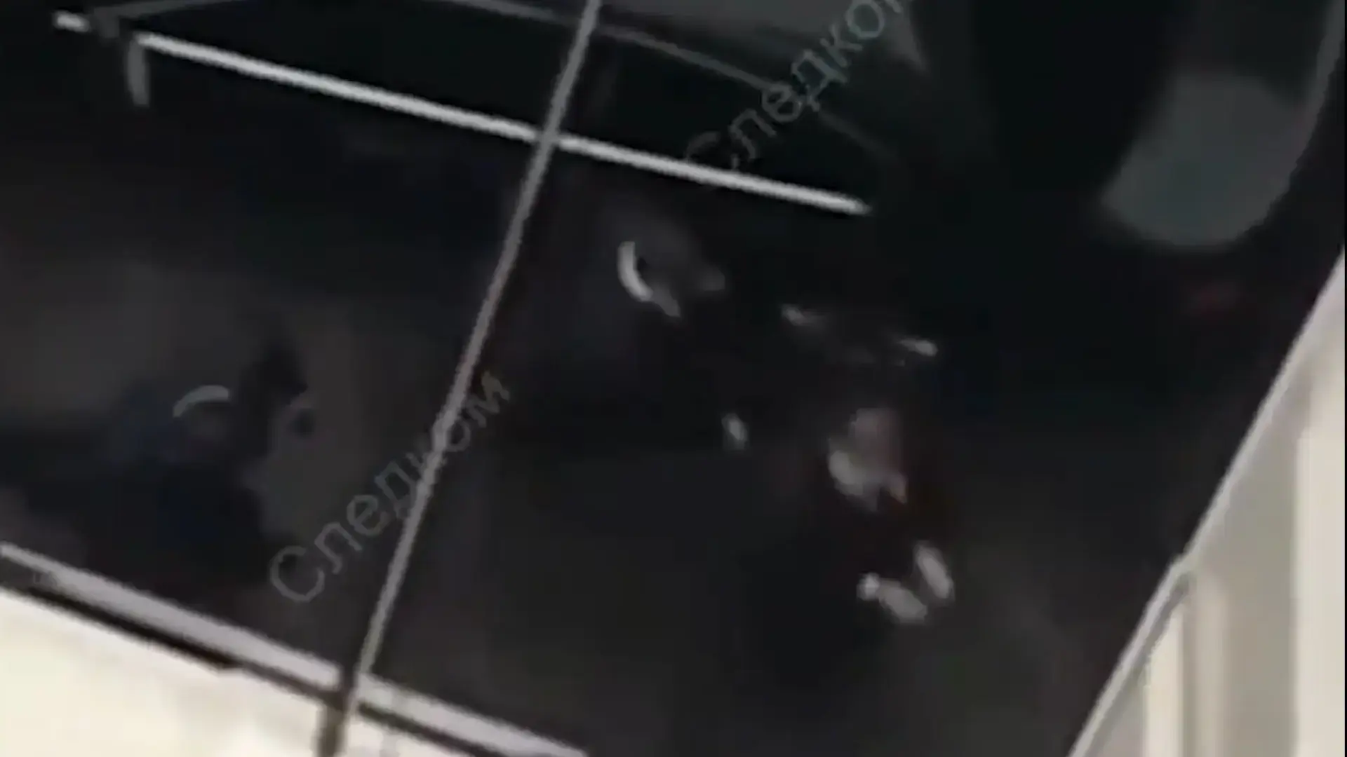 תיעוד: חבר פרלמנט רוסי נעצר בזמן דיון בחשד לרצח