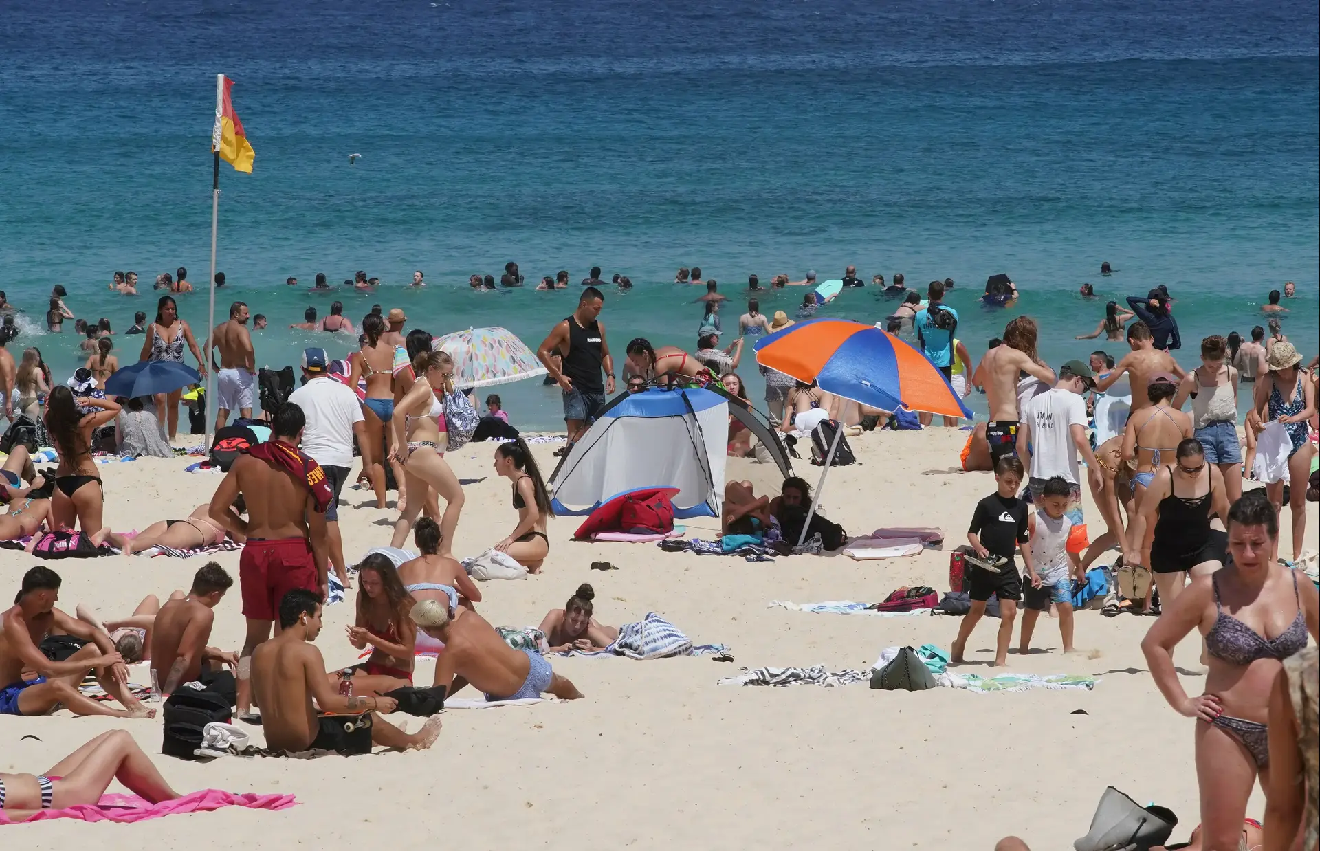 בעלי חיים מתים ובצורת קשה: גל החום הקיצוני באוסטרליה הרותחת