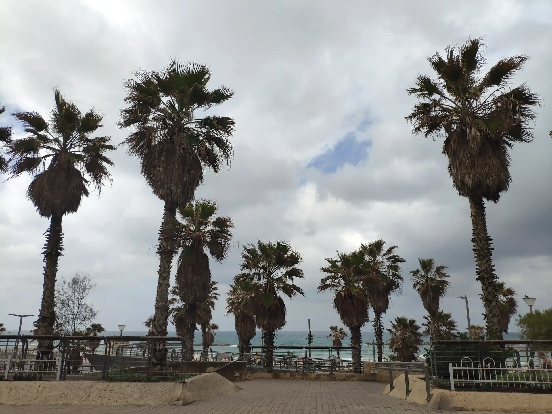 "חוזרים לאווירה חורפית": אחרי ההתחממות - הגשם חוזר | התחזית