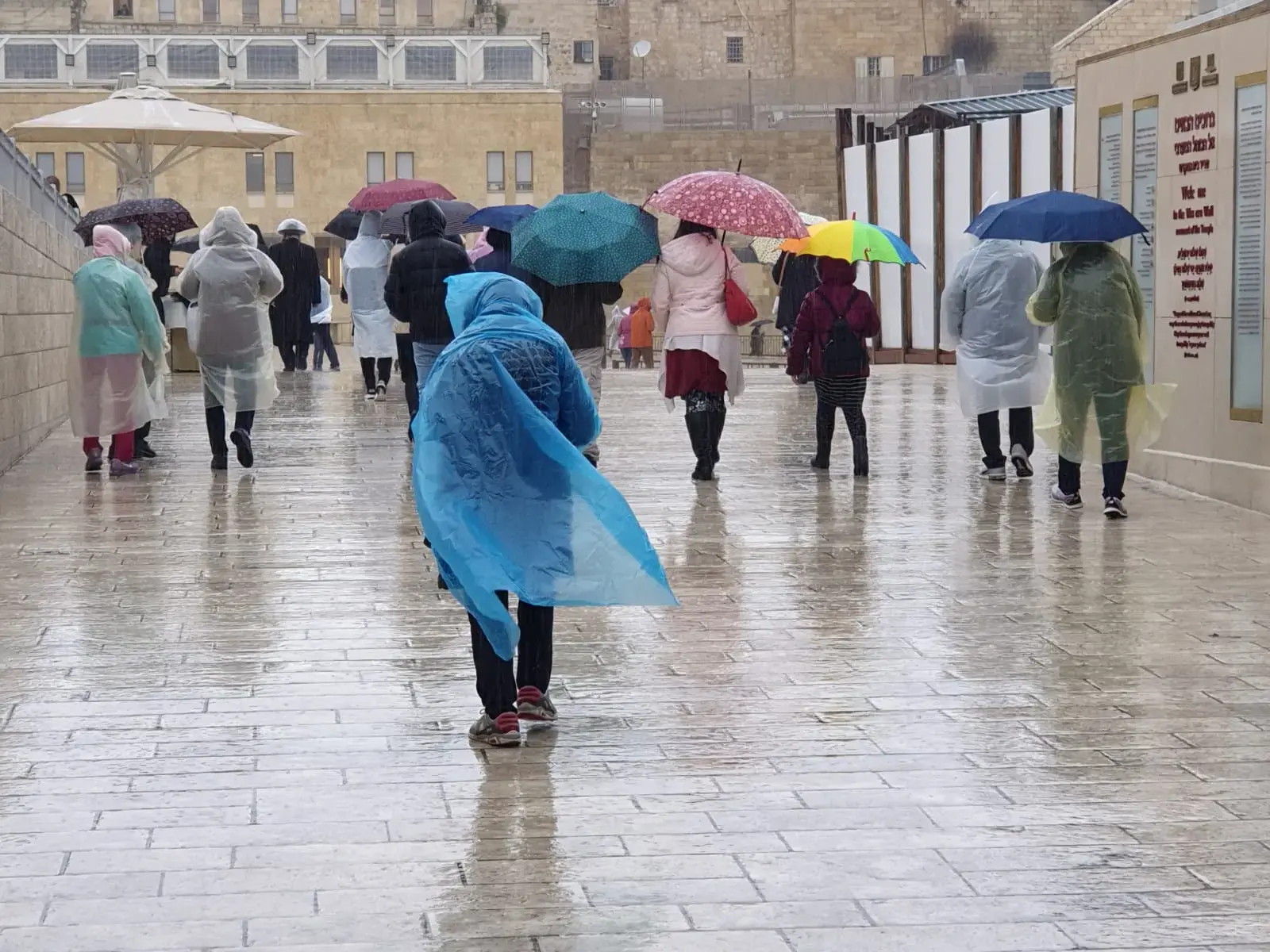 החורף חזר: גשום וקר, נמל התעופה אילת נסגר בשל אובך | מזג אוויר