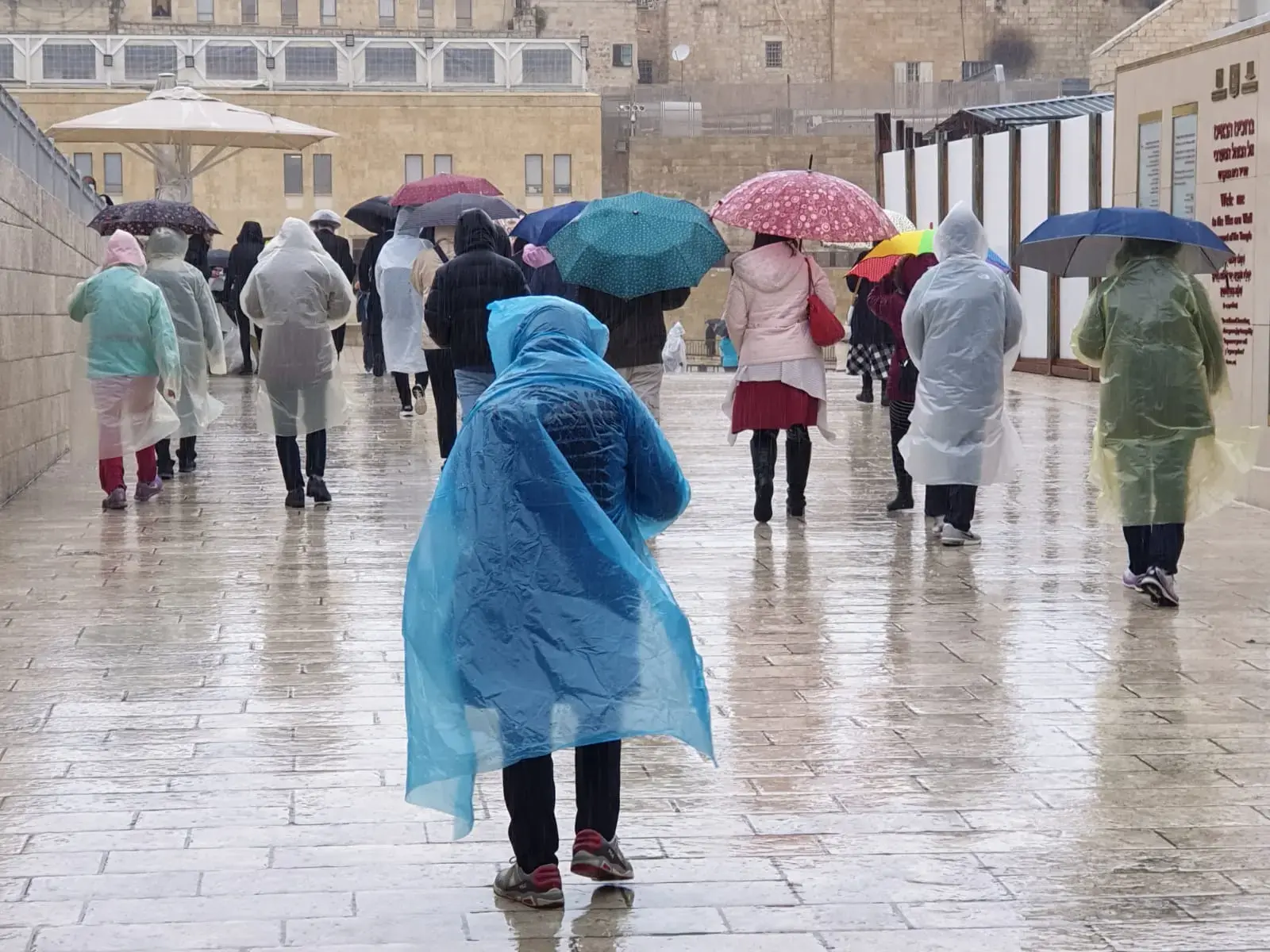 גשם, שיטפונות ואובך: החורף עדיין איתנו | התחזית לימים הקרובים