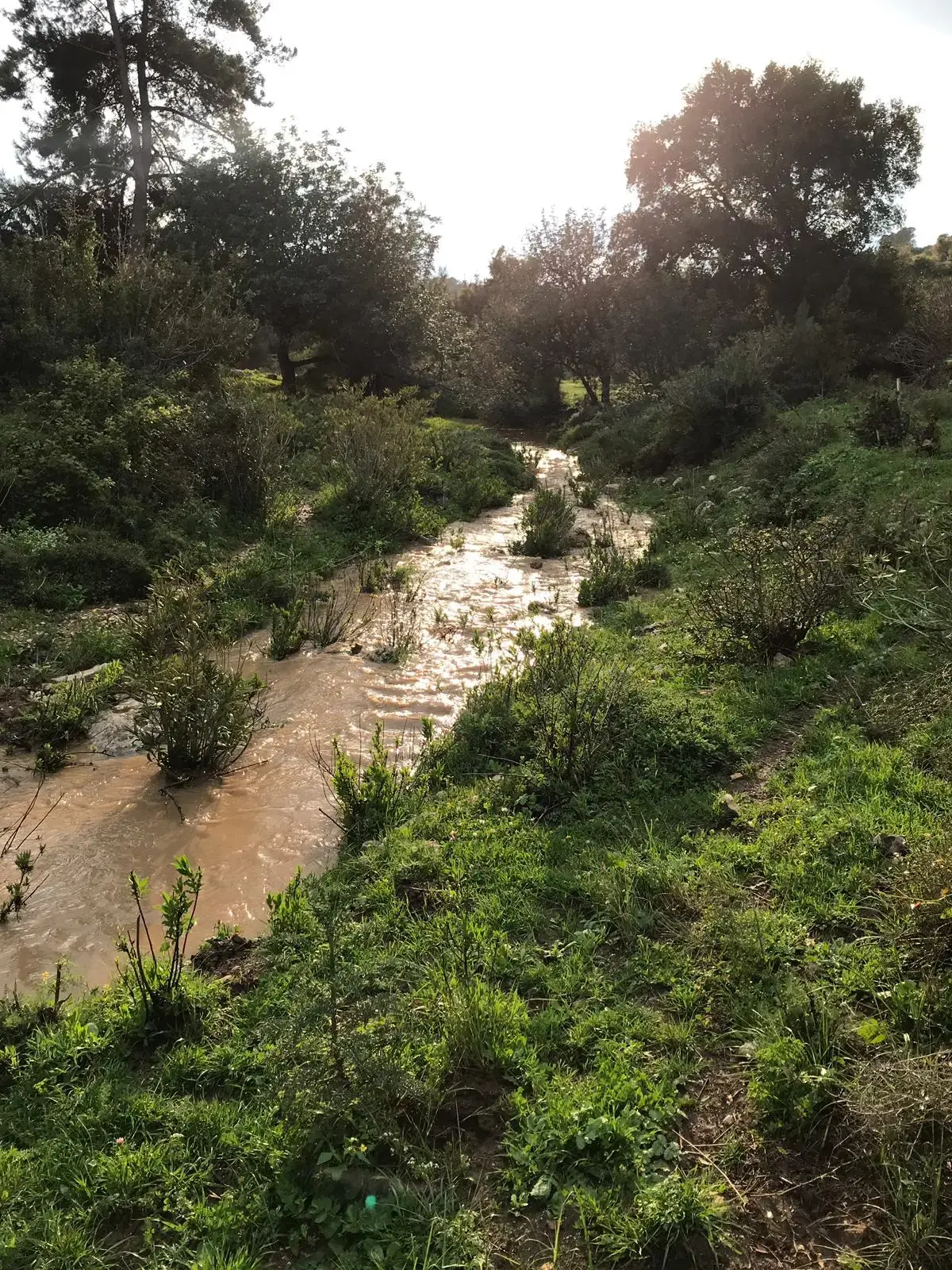 חמים ונאה עם עלייה בטמפרטורות | מזג האוויר