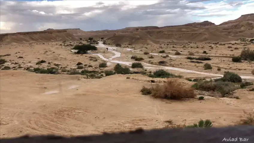 רגע לפני שעון הקיץ: עוד כמה ימים חורפיים | תחזית מזג האוויר
