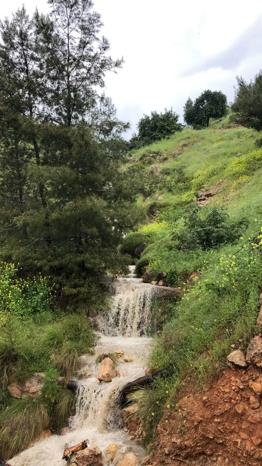 התחזית לחופשת הפסח: חג קריר וגשום עם חשש משיטפונות בנחלים