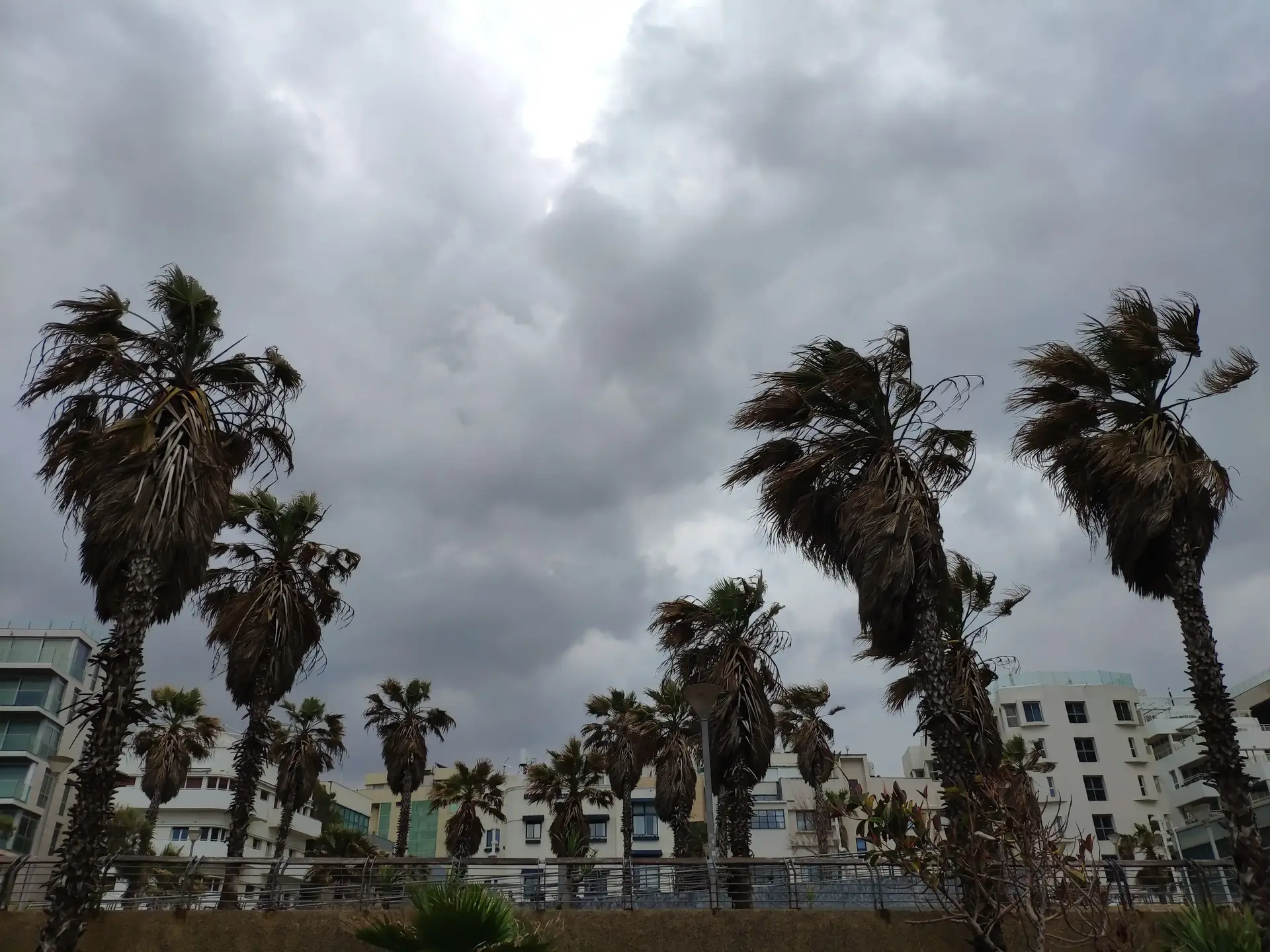 תחזית מרעננת: שיא החום מאחורינו וממחר - טפטוף