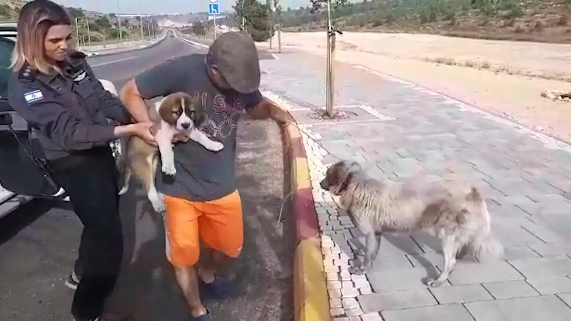 "מקווים שנשאר משהו מהבית": תושבי מבוא מודיעים שבו אל החורבן