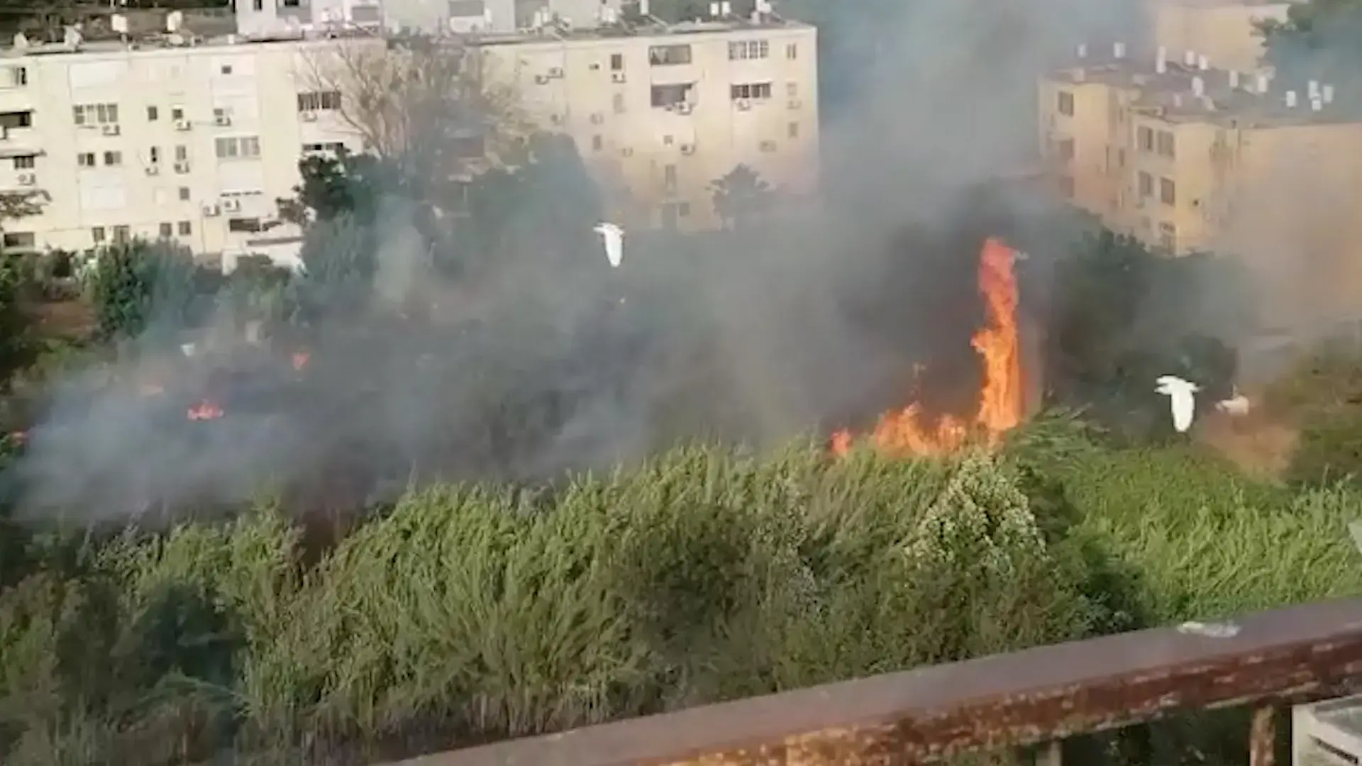 בתי מגורים ומתנ"ס פונו בשל שריפה שפרצה בפארק בקריית שמונה